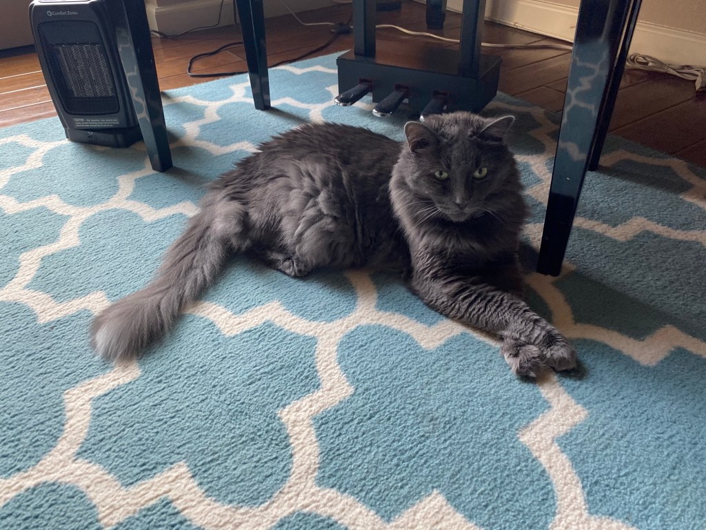 365: Day 26 – House, Condo, or&nbsp;Apartment