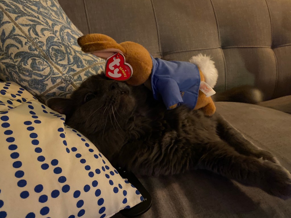 365: Day 43 – Cat and&nbsp;rabbit