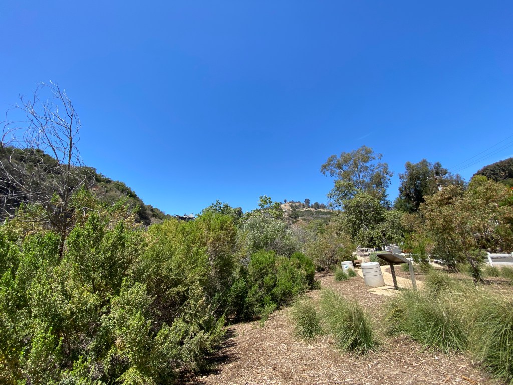 365: Day 329 – Loving this&nbsp;Spring